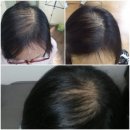 헤어홀릭 이미지