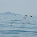 우배배 이미지