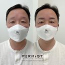 펄미에이트 이미지