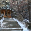 신명여자고등학교 이미지