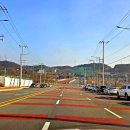 지에스25 초곡트리니엔점 | 급매물 포항 이인1지구 대로변 토지매매, 평당 480만 원! 병원·카페 입지 강추