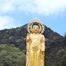 통일기원 미륵대불 이미지