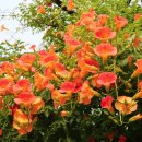 부천중앙공원공영주차장 이미지