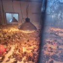 늘갓농장 이미지