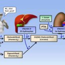 비타민 PC 이미지