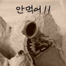 (주)크레푸드 이미지