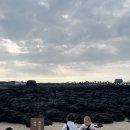 신흥부부민박 | 제주 감성 숙소 추천 / 자쿠지가 있는 독채 숙소 신흥부부