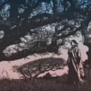 제주아트센터 이미지