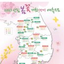 진달래 개나리 벚나무류 순 개화…산림청 '봄꽃 개화 예측' 이미지