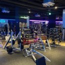 에스휘트니스 이미지