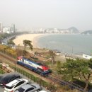 기장바다회집 이미지