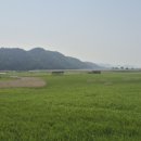 순천만 뜰 이미지