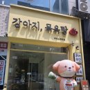 강아지 목욕탕 네이버블로그