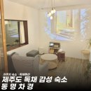 차경숙 | [제주도 독채 숙소추천]동명차경 내돈내산 솔직후기•제주도 자쿠지 숙소추천•펜션추천•제주도 독채...