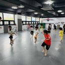 용인대송라태권도 이미지