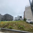 천안 토지/ 아산 탕정 토지 투자 매매 상가주택지 구)94평형 매매가 9억