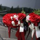 영화카서비스 이미지