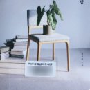 초보식물 집사들을 위한 홈가드닝 이미지