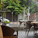 드래곤약국 이미지