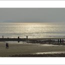 금빛바다 이미지