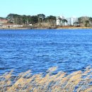 바우길 13구간 이미지