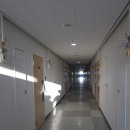 삼성쉐르빌 이미지