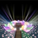 홀로그램 판타지쇼 이미지