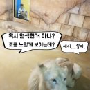 아이니몰 이미지