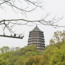 현화 초중교 옆도로 | [항저우] 육화탑 (六和塔)