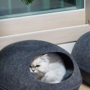 두남자동물병원 이미지