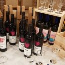 뷰티코인마켓 이미지