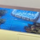 부영포차 네이버블로그
