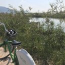 호포 희망화장실 | <양산 황산공원> 황산공원 자전거 코스/초보자/자전거대여