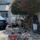 스테이 감도 이미지