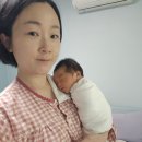 맘스 산후조리원 | 산본 맘스포레 산후조리원 2주 솔직 후기 (둘째 경산모)