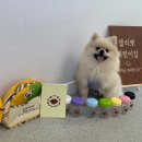 젤리뽀개린이집 이미지