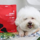 케이 덴탈랩 이미지