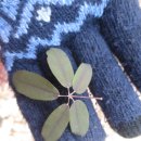 겨울나기 생태수업 이미지