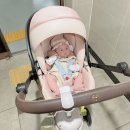 [아기용품] 싸이벡스 바구니카시트