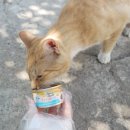 원투쓰리 PC 이미지