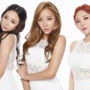 퍼펄즈 카카오 검색결과