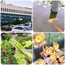 농업기술센터 흥해청사 | 흥해 가 볼 만한 곳(7) 농업기술센터