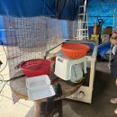 두리수산 왕새우 직판장 | 남원 왕새우직판장 두리수산