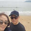 땡땡한 송이버섯 판매합니다 이미지
