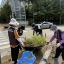 수원-영통-영통-2 이미지