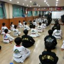 월드용인대석사태권도 이미지