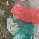 10월 16일(목) 전라지부 출석부 ! 이미지