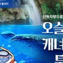 골드문투어 - 용인시 기흥구 평촌2로1번길 7-1 | 골드문투어