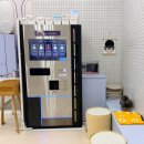 아지트댕댕 | 위례/하남/성남/송파 소형견 전용 애견카페 <아지트댕댕_위례점> 호텔/데이케어 가능