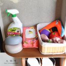 월월애견펜션 이미지